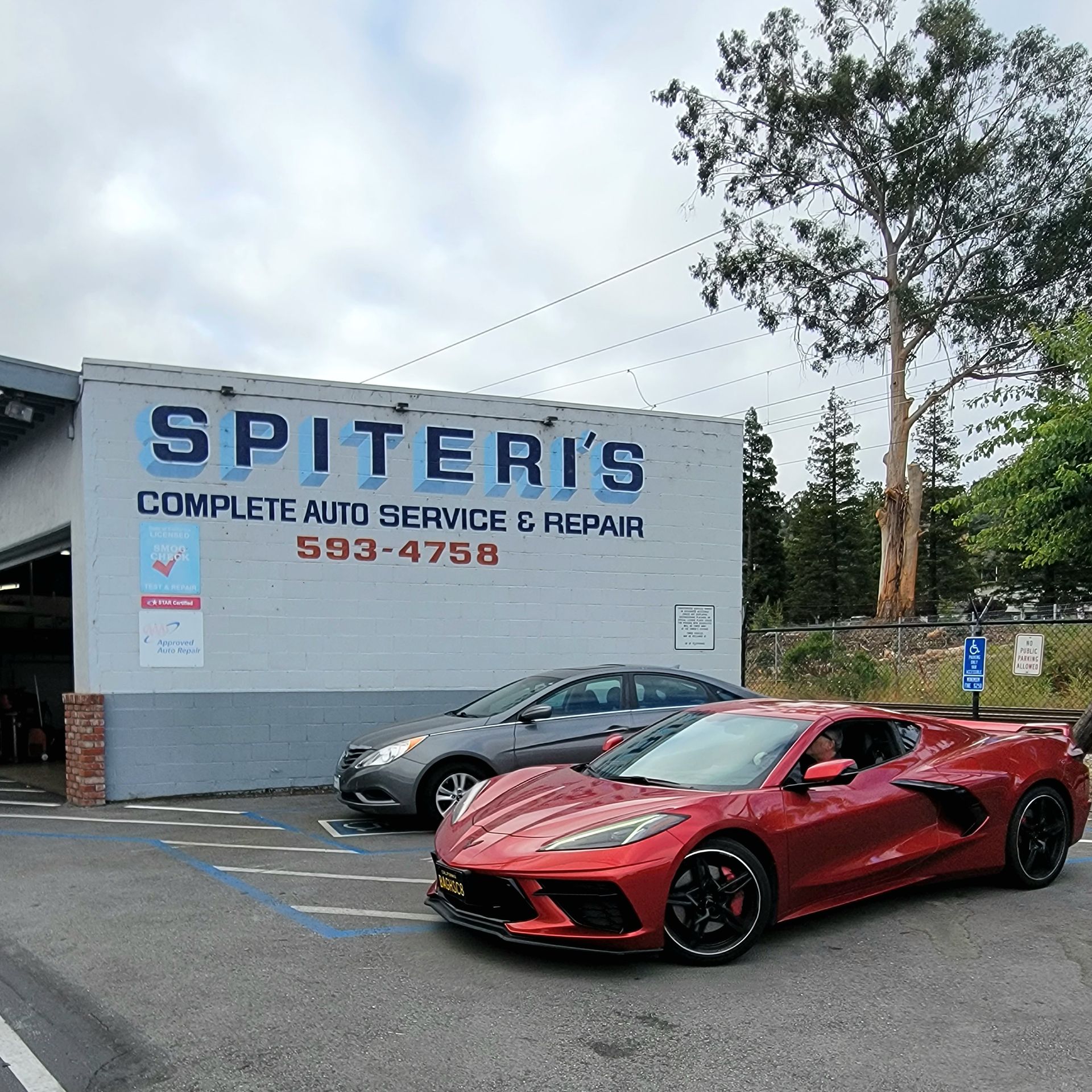 Spiteri's Complete Auto Service — Belmont Auto Repair — photo 1 of 2