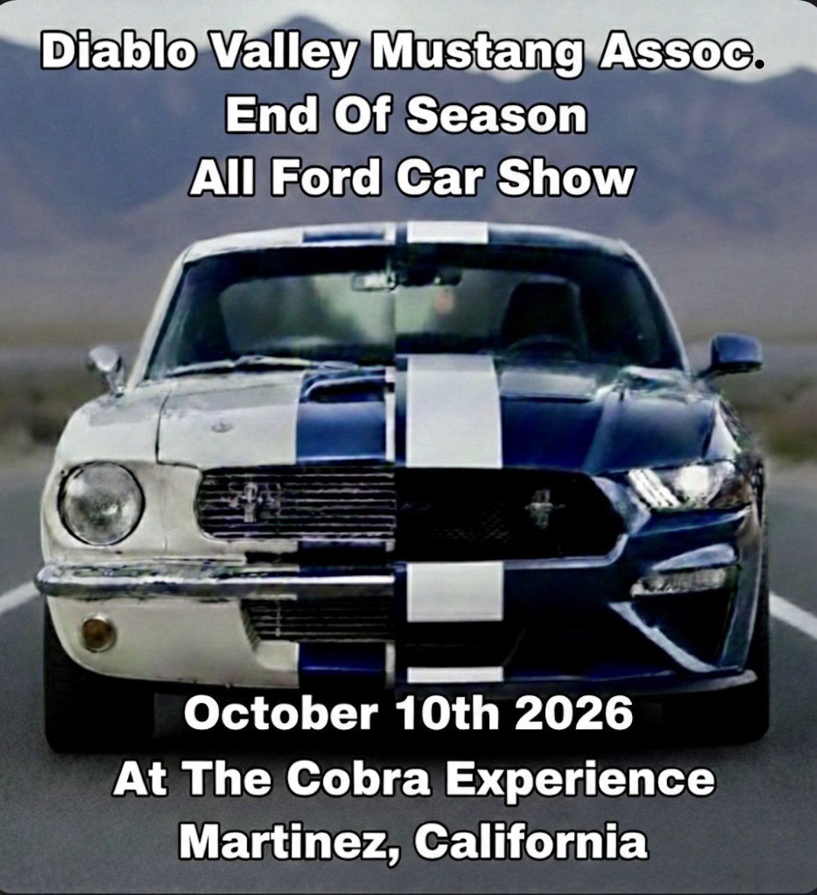 All Ford Car Show
